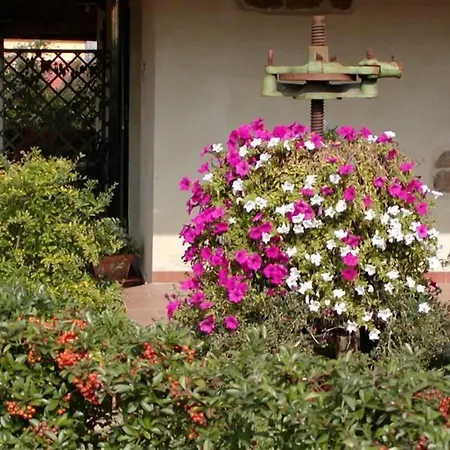 Le Volpaie San Gimignano